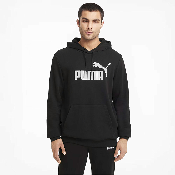 ESS Big Logo Hoodie TR Puma Bl