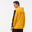 KRONOS MENS HOODY